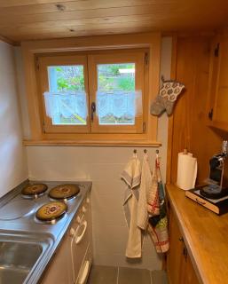 1 room apt, kitchen, patio, in beautiful chalet - Les Diablerets - 7