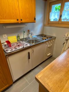 1 room apt, kitchen, patio, in beautiful chalet - Les Diablerets - 8