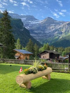 1 room apt, kitchen, patio, in beautiful chalet - Les Diablerets - 9