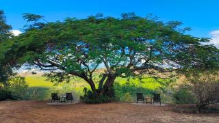 Abangane Guest Lodge - 1