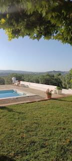 Finca Olivo Llorón - Montilla - 7