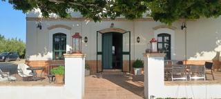 Finca Olivo Llorón - Montilla - 5