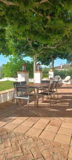 Finca Olivo Llorón - Montilla - 1