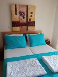 Villa N - Budva - 0