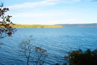 Tiny Loon and Mayfly Tiny House - 4