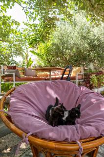 Villa Green Garden - Sarandë - 6