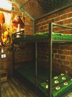 Og homes - Ha Giang - 8