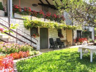 Apartma Savan - Tolmin - 8
