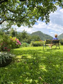 Apartma Savan - Tolmin - 4