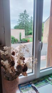 La maison des Roses - - 1