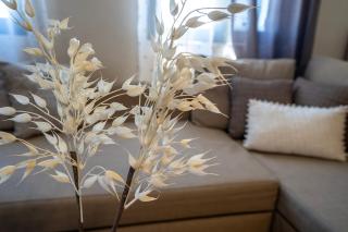 Belvedere Karystos - 3