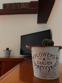 Civico 21-FreeParking - 1