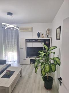 Center Apartment - Budva - 3