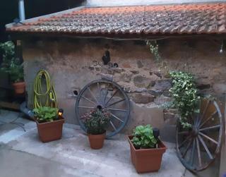 La maison des Roses - - 7