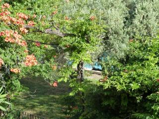 Gite du domaine Saint-Marc, entre Ventoux et dentelles de Montmirail - 8