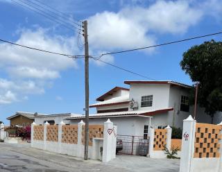 Quickest Wolf b&b Amore - Willemstad - 7