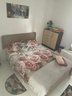 Quickest Wolf b&b Amore - Willemstad - 4