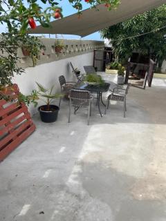Quickest Wolf b&b Amore - Willemstad - 3