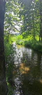 Domek nad jeziorem - 5