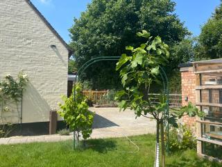 Sheldon House - Broadway - Cotswolds - Broadway - 6