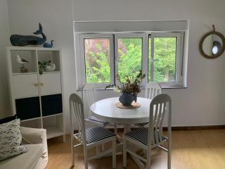 La ballena de rayas - 4