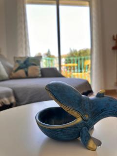 Casa MEDUSA - San José - 5