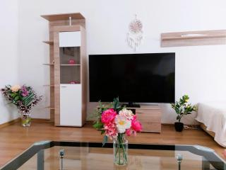 ČSA 3 Central City Apartment Hradec Králové - 3