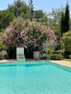 Domaine Au Coeur des Alpilles - Maussane-les-Alpilles - 6