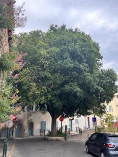 Superbe Studio climatisé près de la villa Noailles - 7