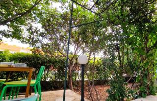 Green oasis in the city - Šibenik - 0