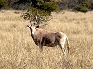 Fish Eagles View - on game farm close to pilansberg - 2