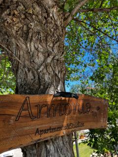 Armonia Studios - Perivolion - 1