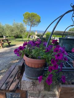 Le Ghiande - Spello - 6