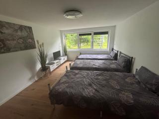 Gemütliche Monteurwohnung in Köln Rösrath - Rösrath - 5