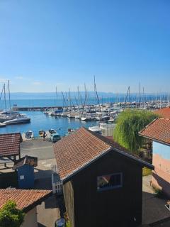 La terrasse de rives - Thonon-les-Bains - 1