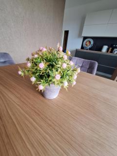 Bea apartman - Balatonalmádi - 5