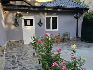 The Purple House-Villa in Bucharest - Bucarest - 6