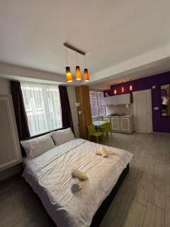 Iskra Guesthouse - 1