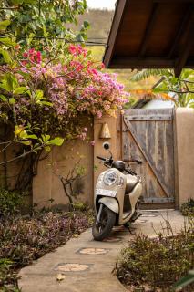 Beachfront 1-Bedroom Mini Villa - Bumbang - 8