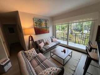 Arriendo departamento en Pucón - Pucón - 0