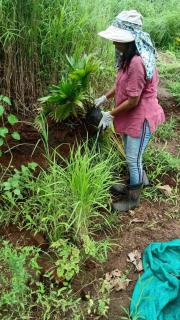HealthyG1 FOODnSTAY - Karjat - 6