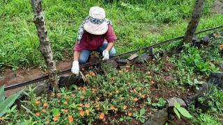 HealthyG1 FOODnSTAY - Karjat - 7
