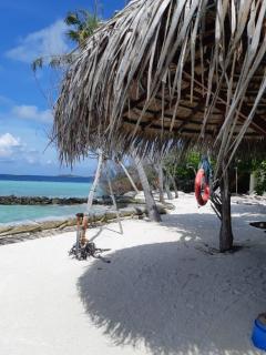 Bord de mer lagon bleu - Albion - 6