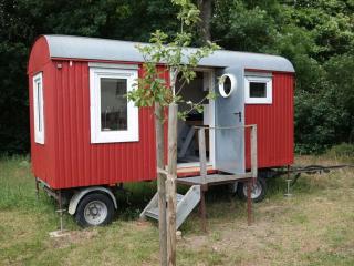 Gutshaus Ganzlin Comfortable holiday residence - Ganzlin - 1