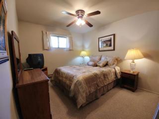Ski View 03 - On Main Street - WiFi - Cable - Fireplace - Trailer Parking In Back - Patio with Gas Grill - 5