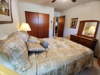 Ski View 03 - On Main Street - WiFi - Cable - Fireplace - Trailer Parking In Back - Patio with Gas Grill - Red River - 4