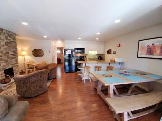 Ski View 04 Columbine - On Main Street - WiFi - Cable - Fireplace - Trailer Parking In Back - Patio with Gas Grill - Red River - 3