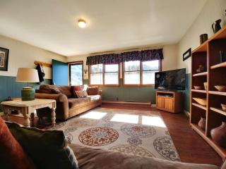 Ski View 04 Columbine - On Main Street - WiFi - Cable - Fireplace - Trailer Parking In Back - Patio with Gas Grill - Red River - 8