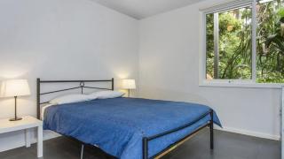 Birdsong - Pearl Beach - 4