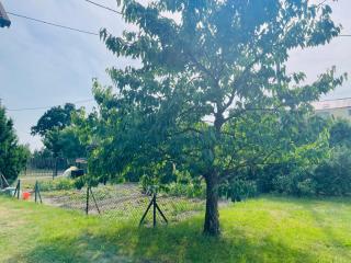 Apartament MIKO - Mikoszewo - 8